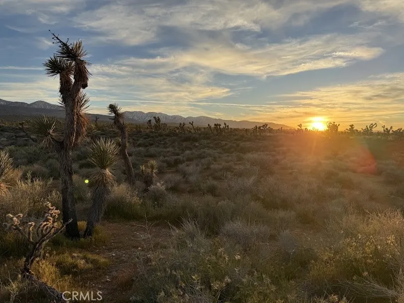 Ave X/220 Llano, CA 93544