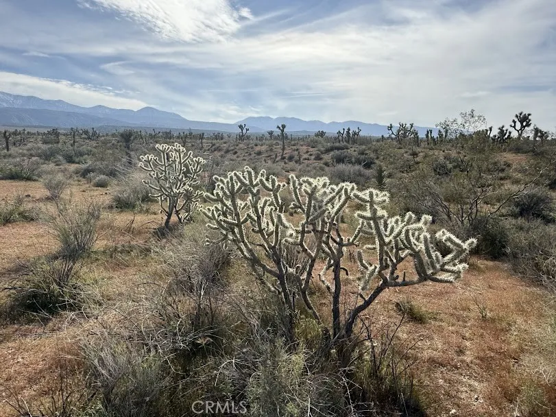 Ave X/220 Llano, CA 93544