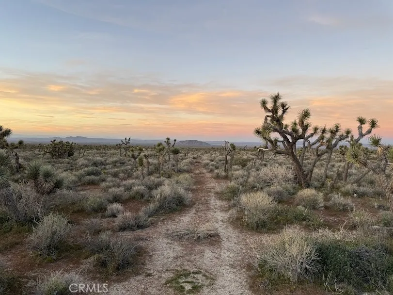 Ave X/220 Llano, CA 93544
