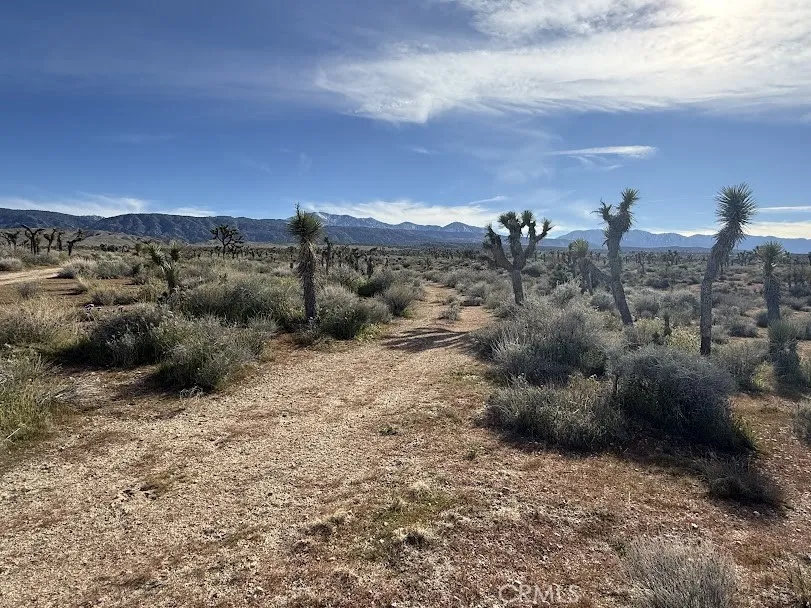 Ave X/220 Llano, CA 93544