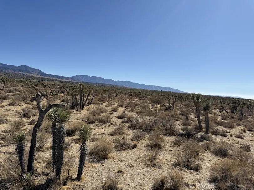 Ave X/220 Llano, CA 93544