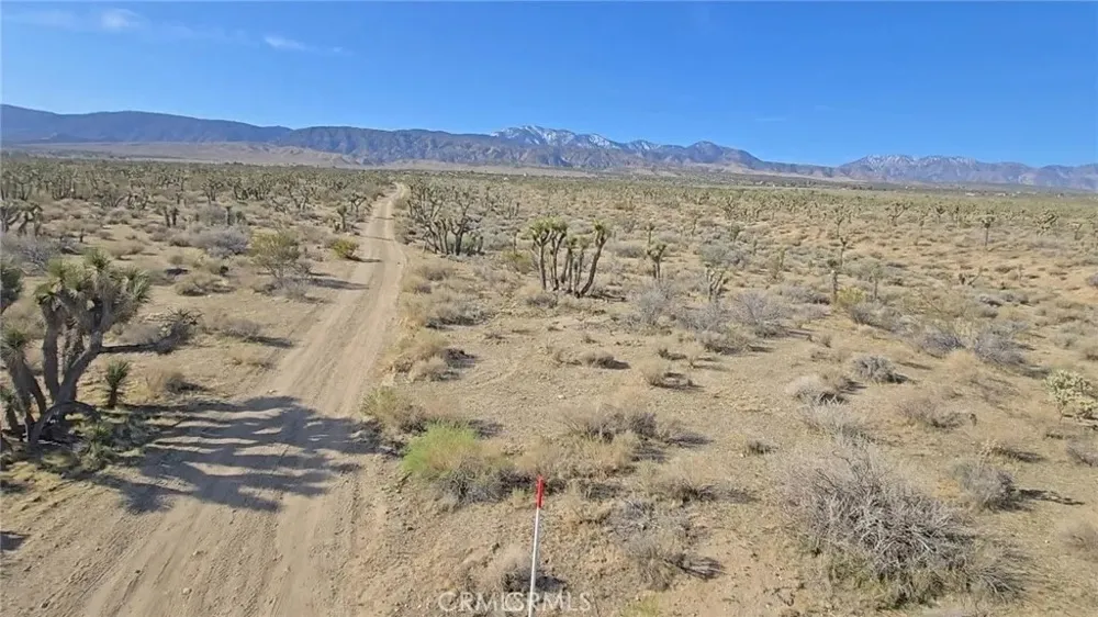 Ave X/220 Llano, CA 93544