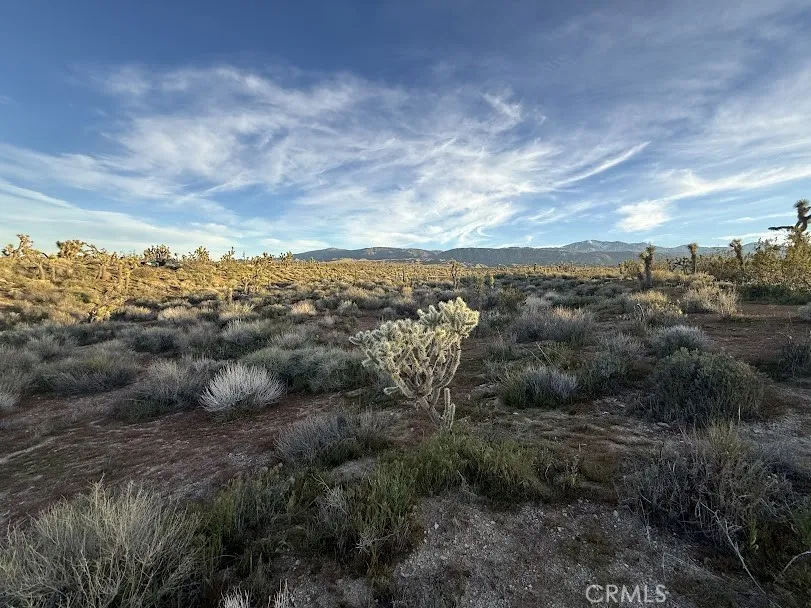 Ave X/220 Llano, CA 93544