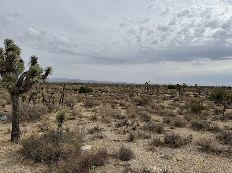 Ave X/220 Llano, CA 93544