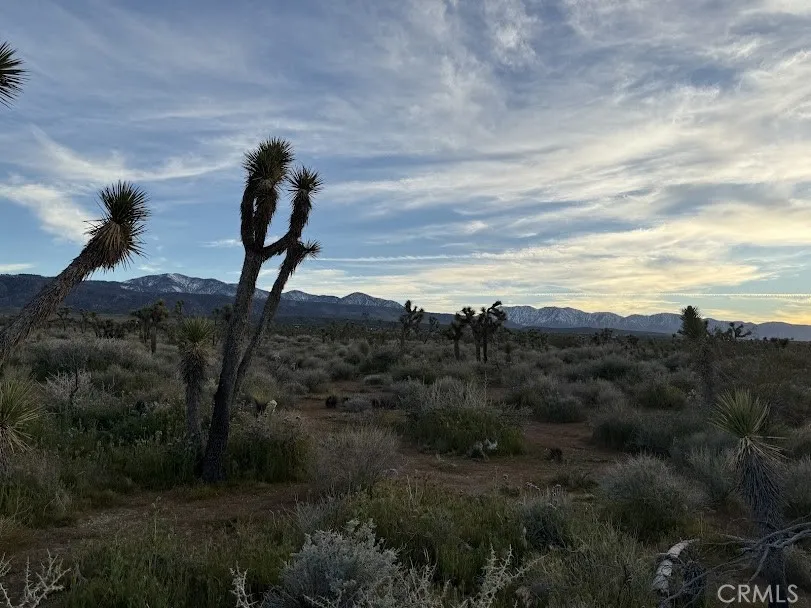 Ave X/220 Llano, CA 93544