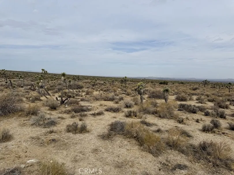 Ave X/220 Llano, CA 93544
