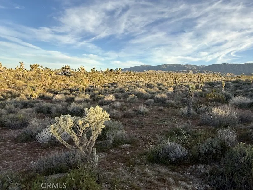 Ave X/220 Llano, CA 93544