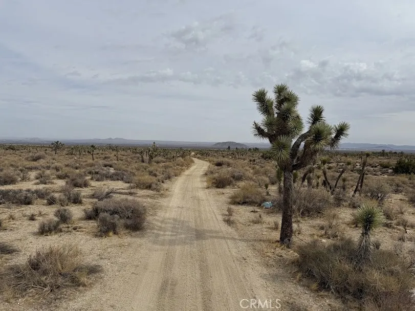 Ave X/220 Llano, CA 93544