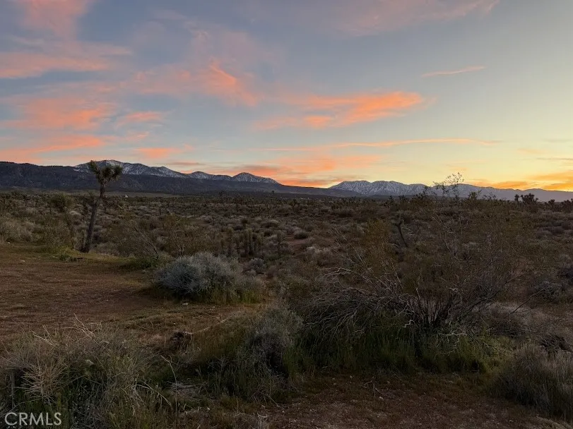 Ave X/220 Llano, CA 93544
