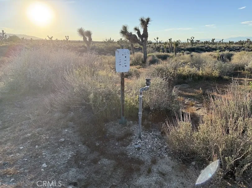 Ave X/220 Llano, CA 93544