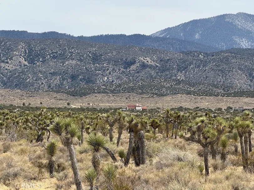 Ave X/220 Llano, CA 93544