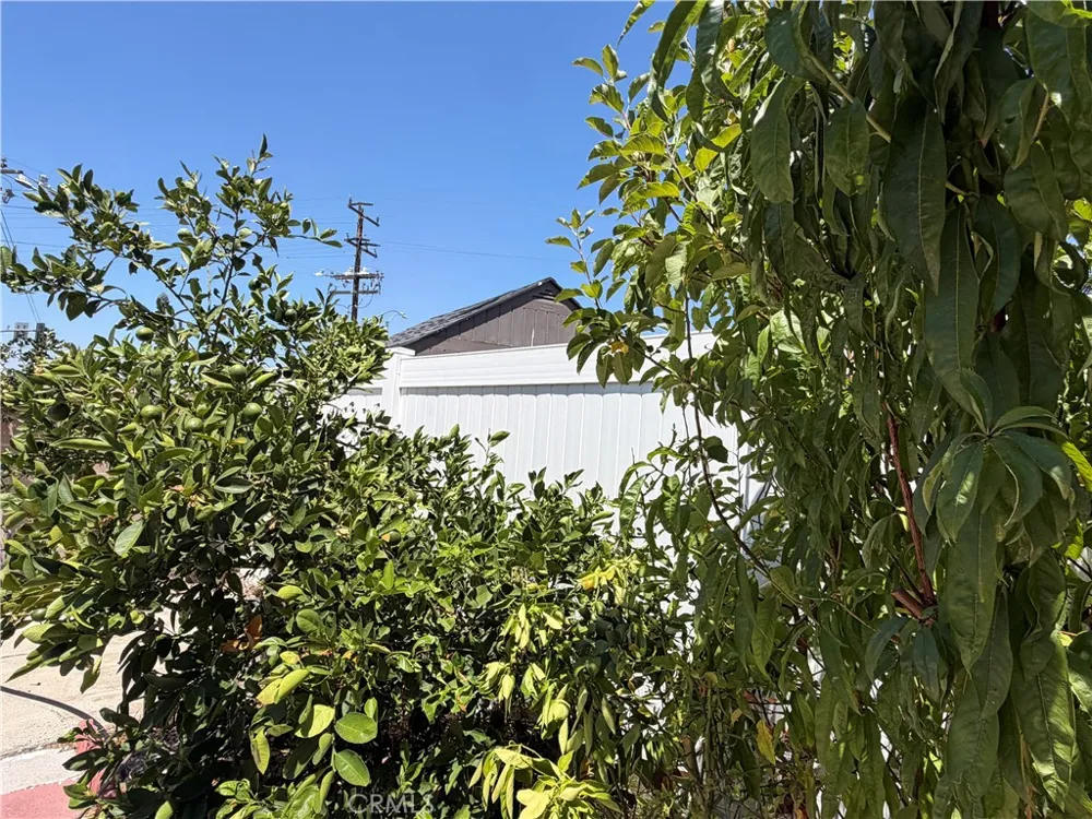 31008 Dulce Court Temecula, CA 92592