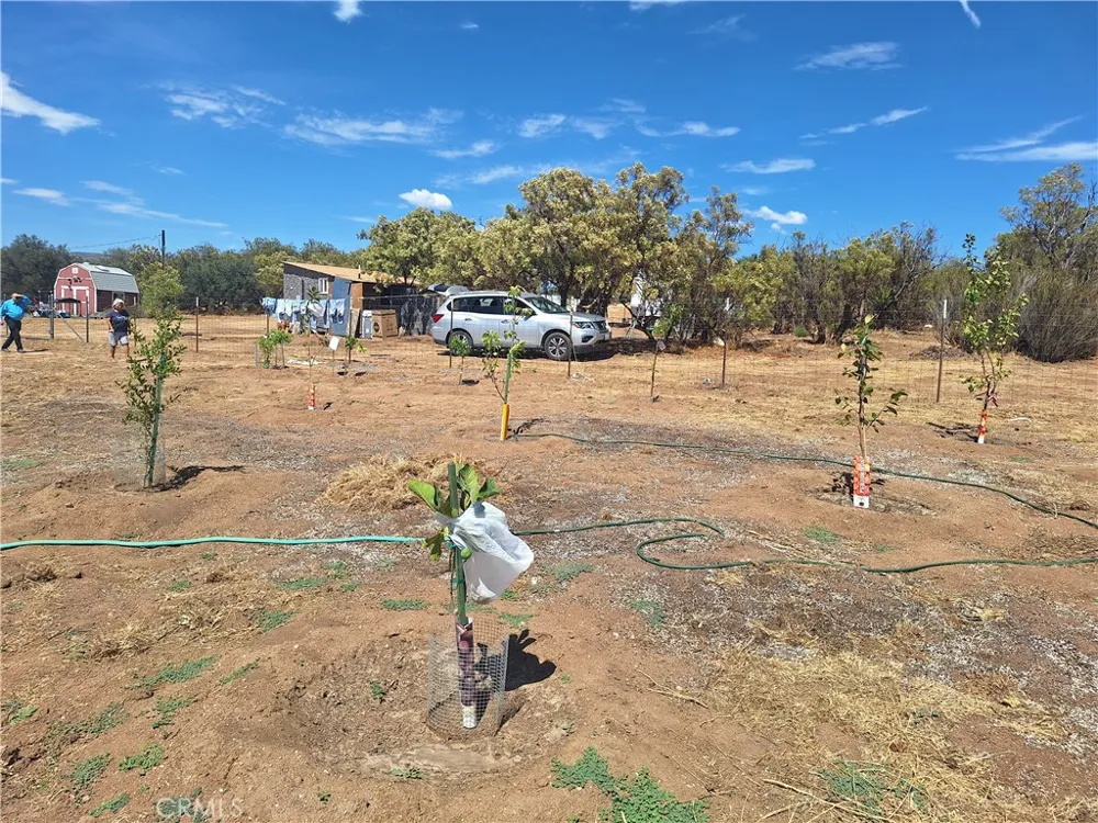 44275 Breiner Valley Anza, CA 92539