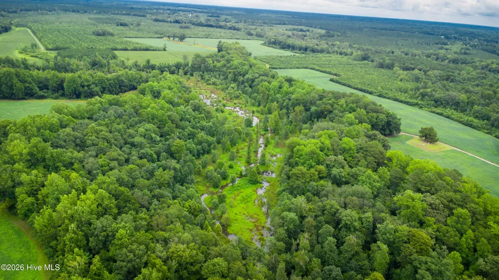 1601 Hills Neck Road Ernul, NC 28527