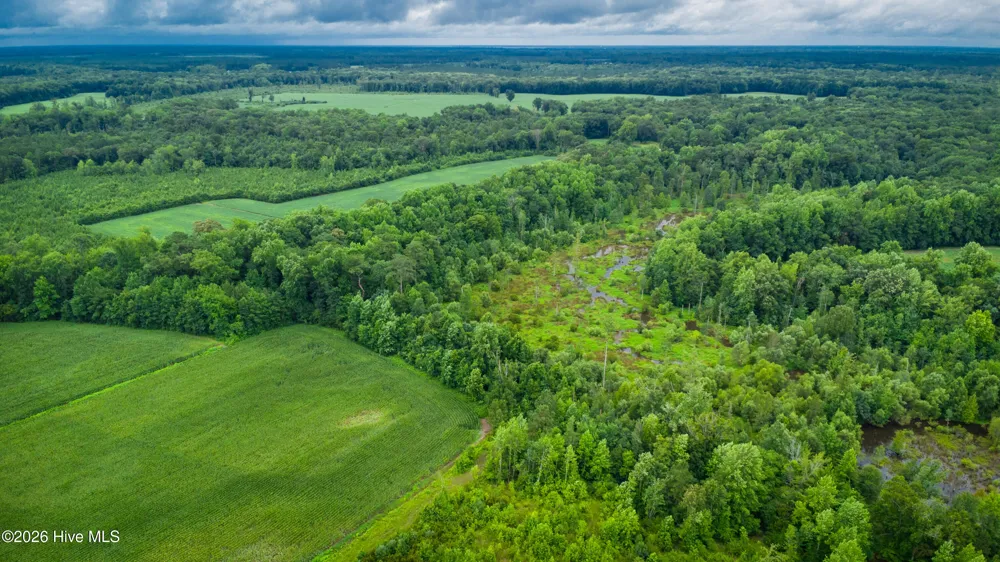 1601 Hills Neck Road Ernul, NC 28527