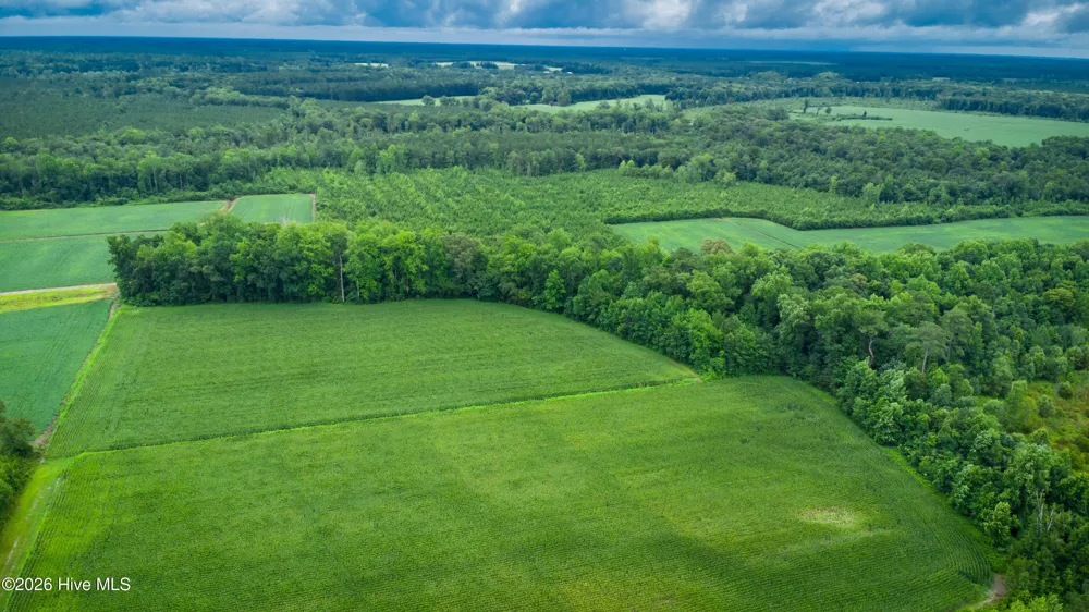 1601 Hills Neck Road Ernul, NC 28527