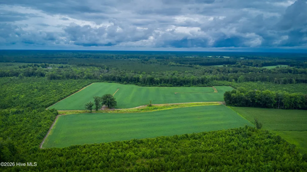 1601 Hills Neck Road Ernul, NC 28527