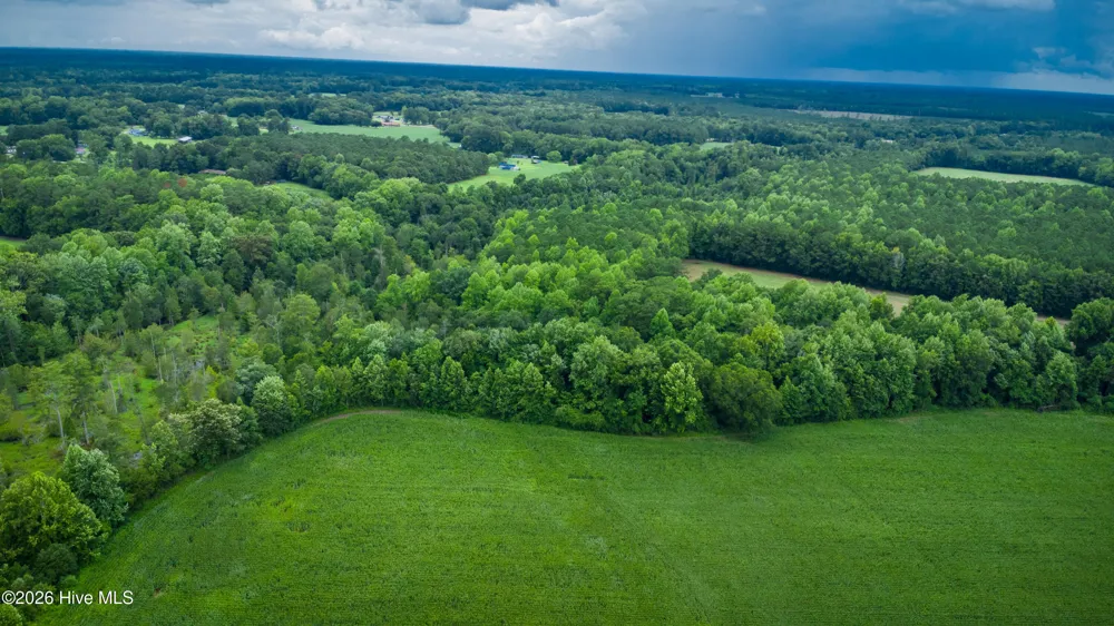 1601 Hills Neck Road Ernul, NC 28527