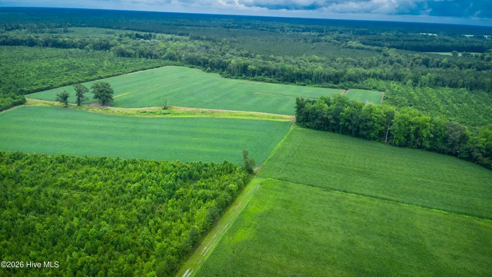 1601 Hills Neck Road Ernul, NC 28527