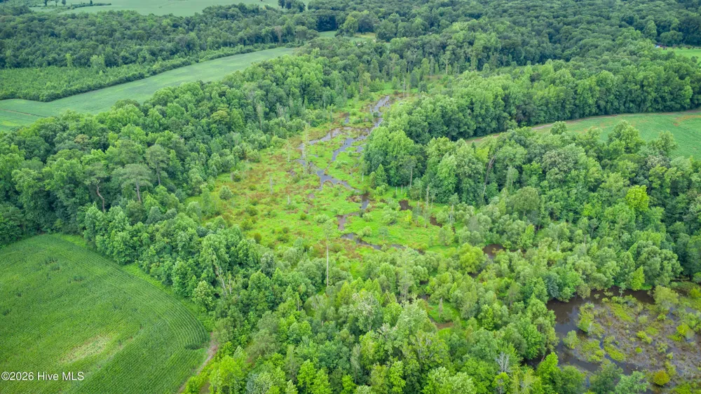 1601 Hills Neck Road Ernul, NC 28527