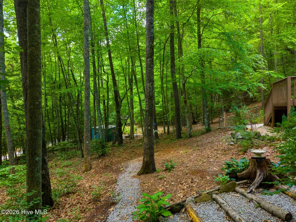 243 Jonquil Woods Road Franklin, NC 28734