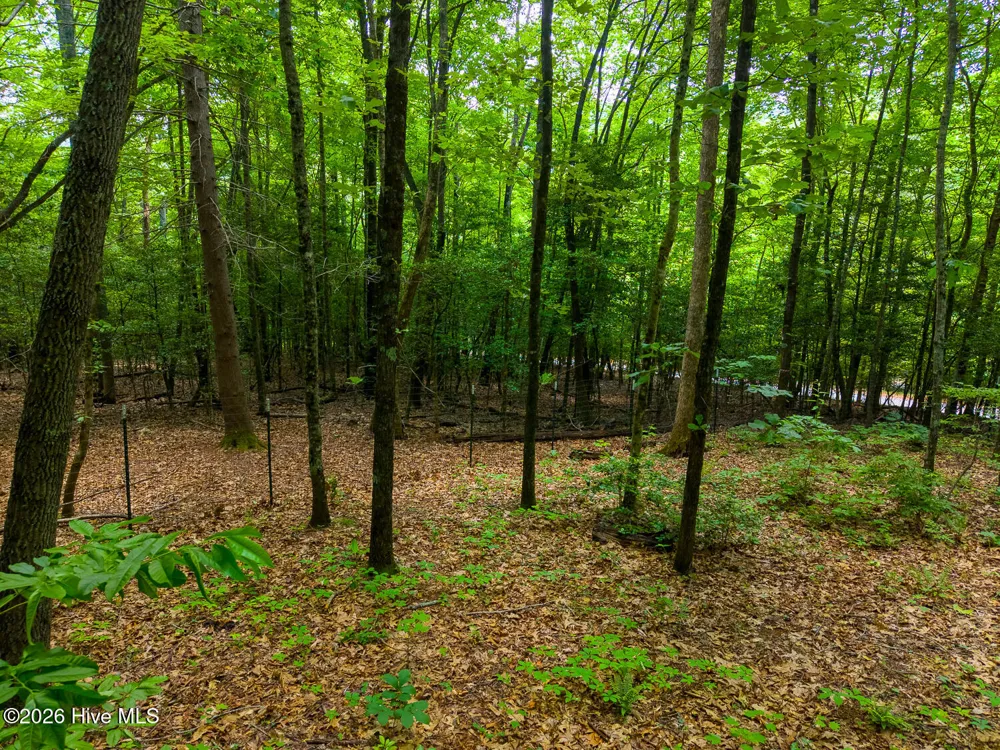 243 Jonquil Woods Road Franklin, NC 28734