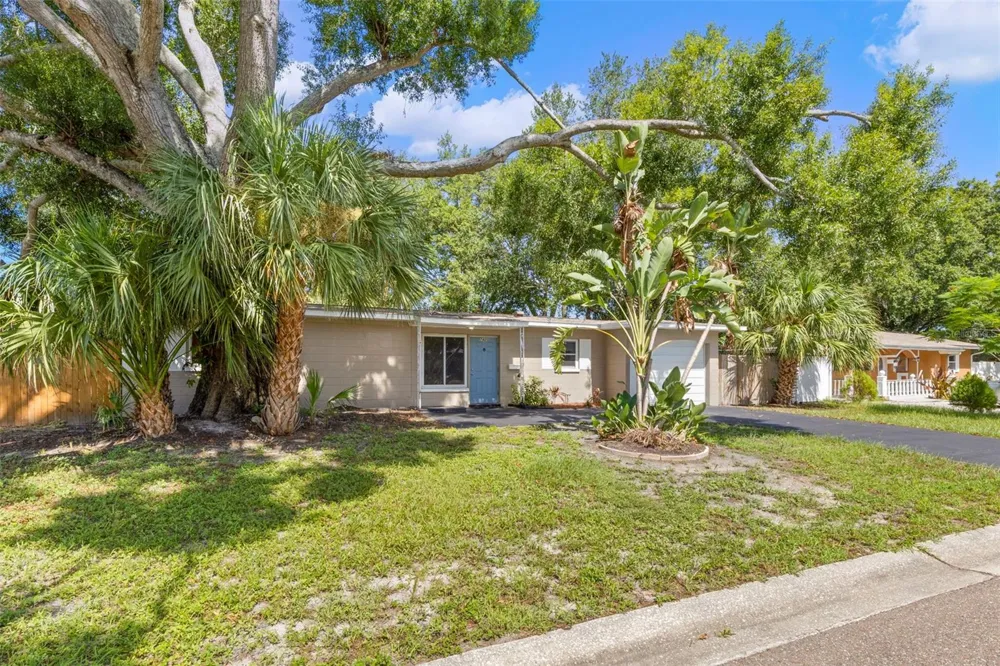 7420 DR MARTIN LUTHER KING JR STREET St Petersburg, FL 33702