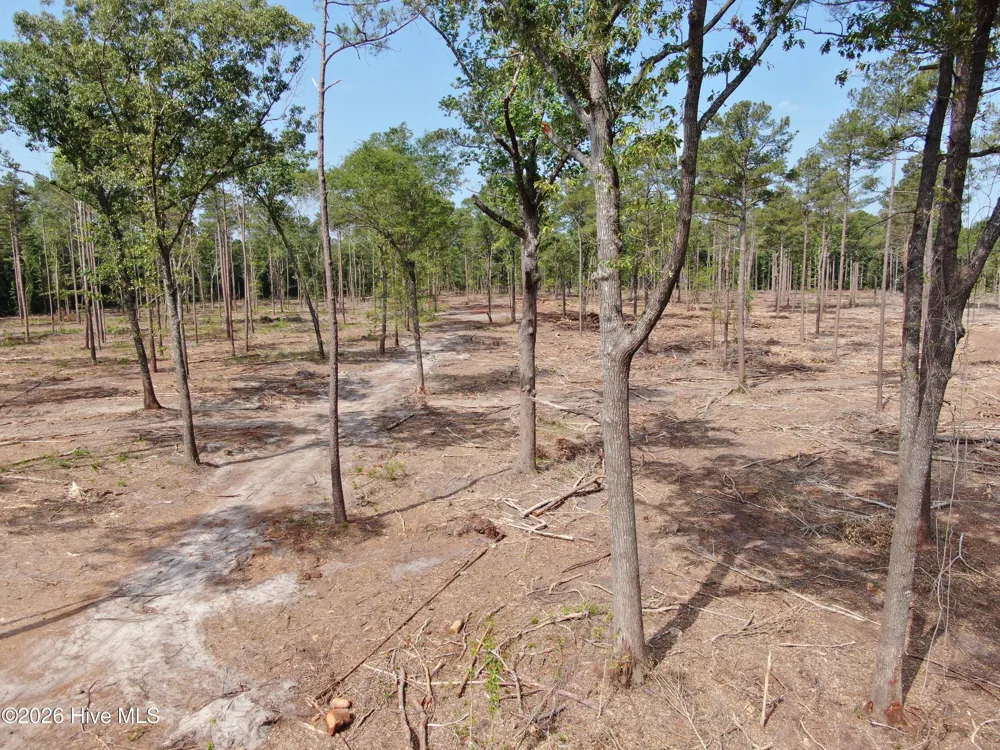 Tbd Donna Drive Laurinburg, NC 28352