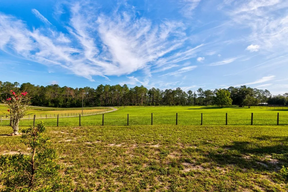 24948 WALKABOUT RANCH ROAD Sorrento, FL 32776
