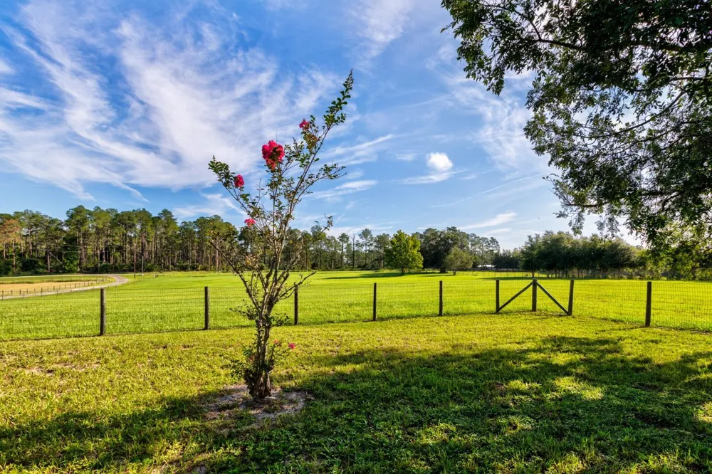 24948 WALKABOUT RANCH ROAD Sorrento, FL 32776