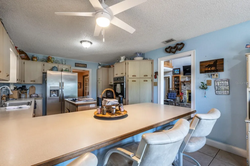24948 WALKABOUT RANCH ROAD Sorrento, FL 32776