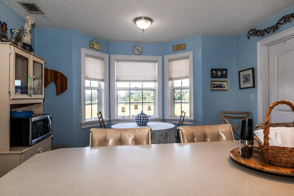 24948 WALKABOUT RANCH ROAD Sorrento, FL 32776