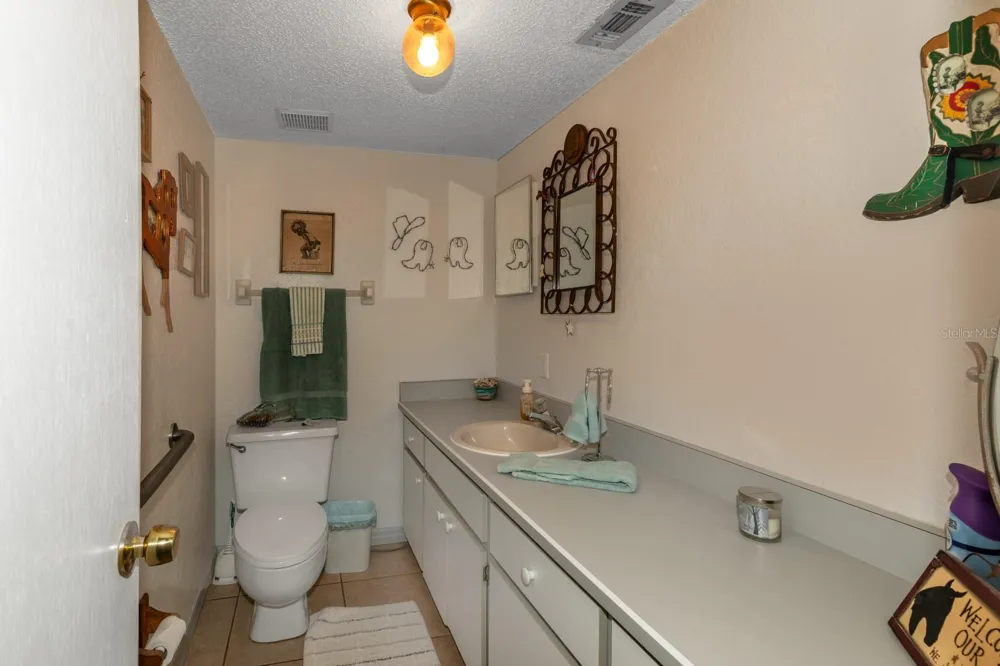 24948 WALKABOUT RANCH ROAD Sorrento, FL 32776