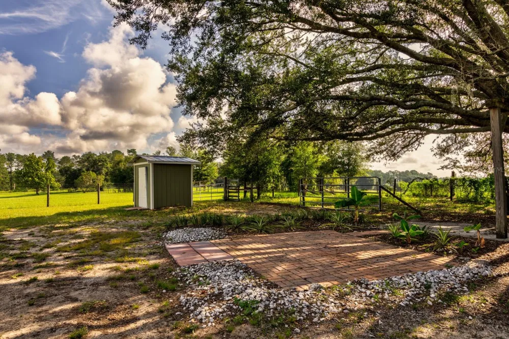24948 WALKABOUT RANCH ROAD Sorrento, FL 32776