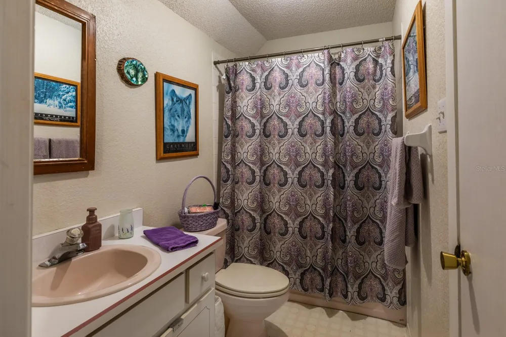 24948 WALKABOUT RANCH ROAD Sorrento, FL 32776