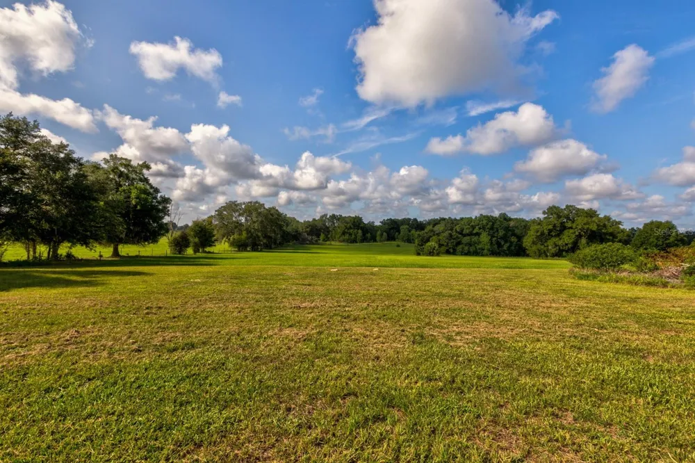 24948 WALKABOUT RANCH ROAD Sorrento, FL 32776