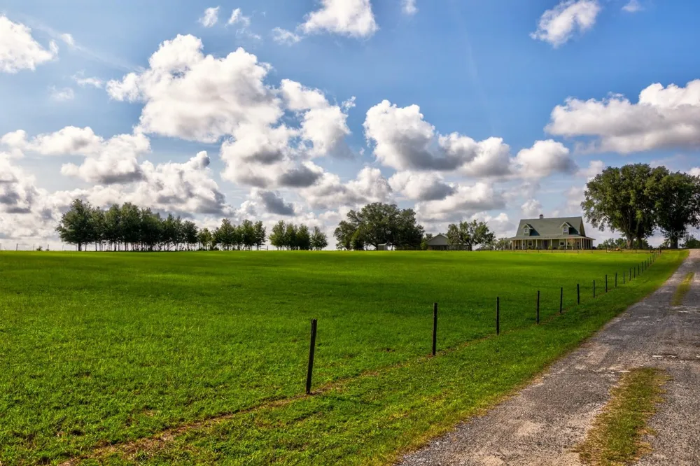 24948 WALKABOUT RANCH ROAD Sorrento, FL 32776