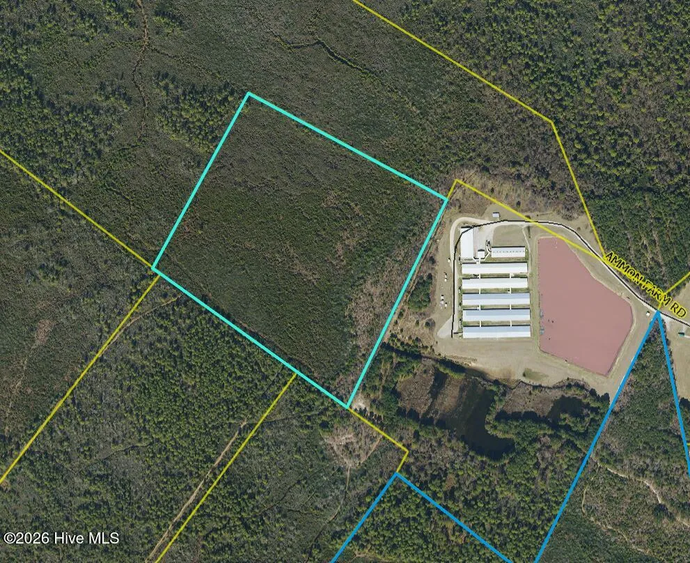 44 Acres Nance-Coble Tract Road Garland, NC 28441
