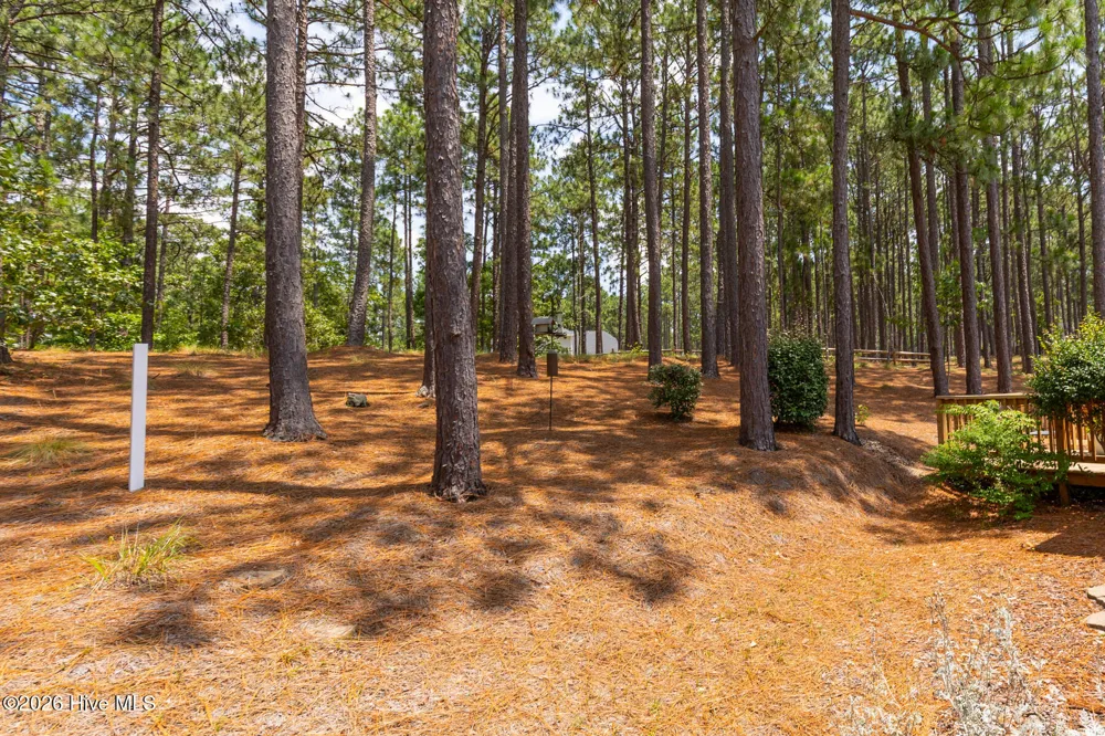 114 Andrews Drive West End, NC 27376