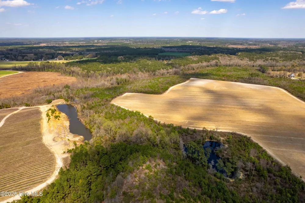 0 Devane Farm Road Harrells, NC 28444