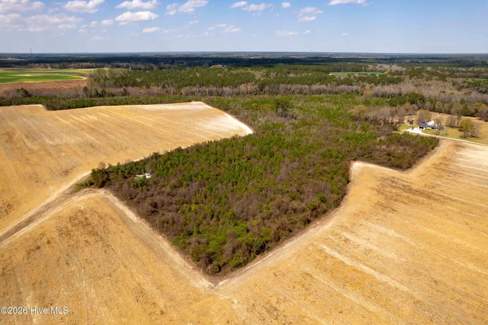 0 Devane Farm Road Harrells, NC 28444