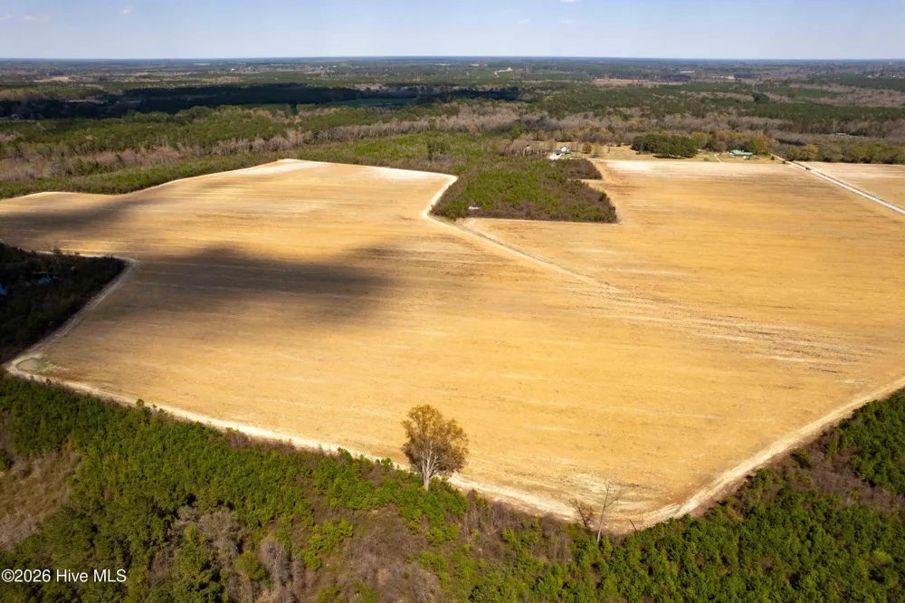 0 Devane Farm Road Harrells, NC 28444