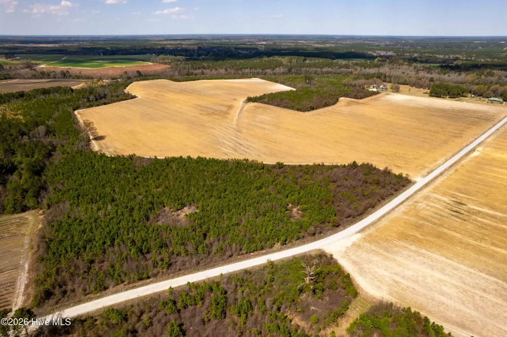 0 Devane Farm Road Harrells, NC 28444
