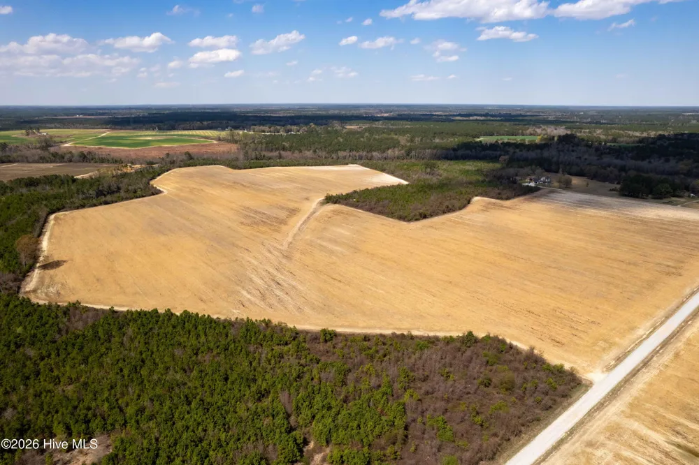 0 Devane Farm Road Harrells, NC 28444