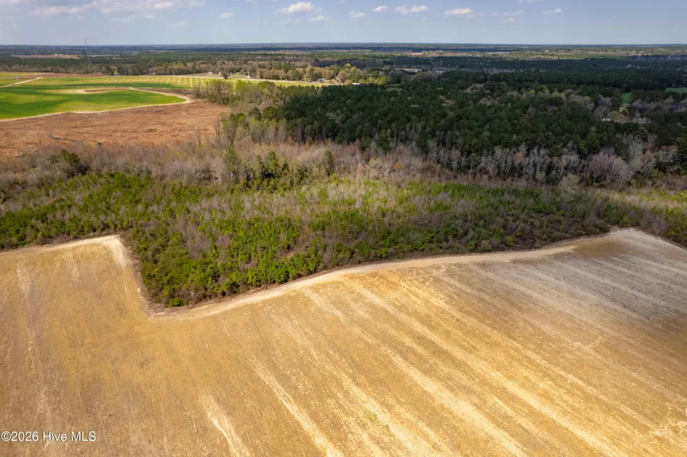 0 Devane Farm Road Harrells, NC 28444
