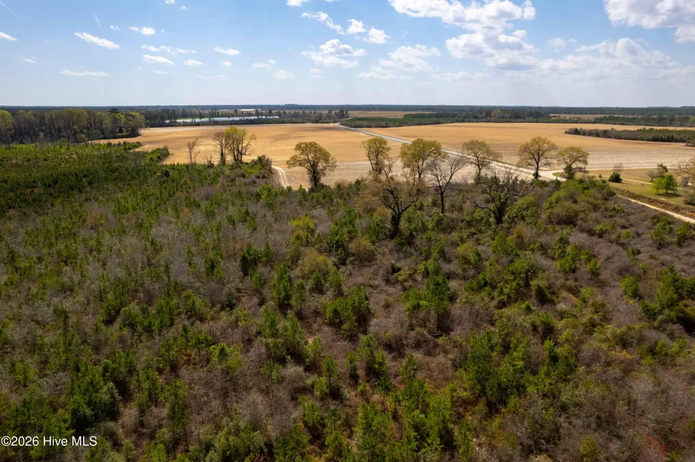 0 Devane Farm Road Harrells, NC 28444
