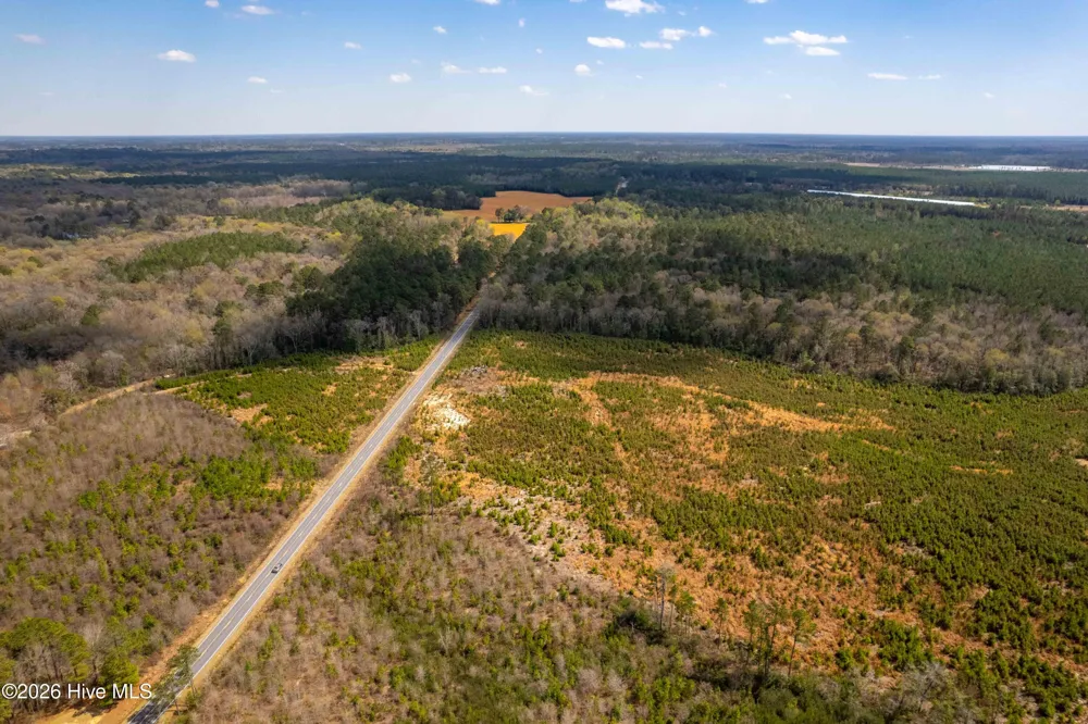 0 Devane Farm Road Harrells, NC 28444