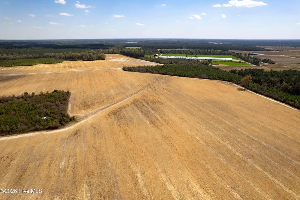 0 Devane Farm Road Harrells, NC 28444