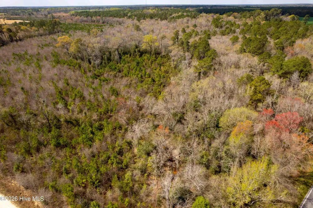0 Devane Farm Road Harrells, NC 28444