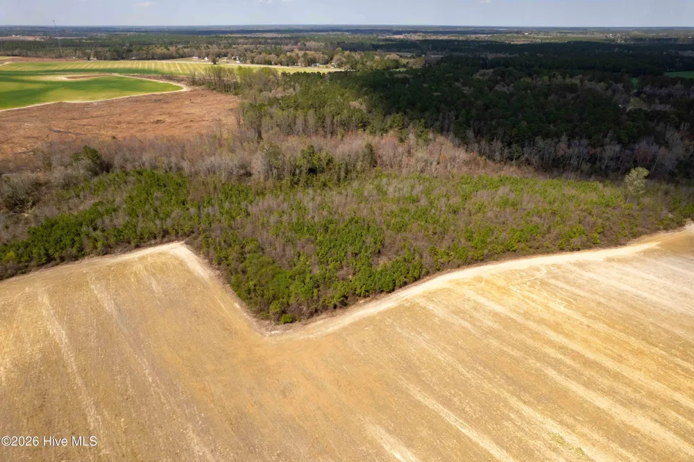 0 Devane Farm Road Harrells, NC 28444